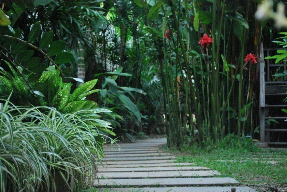Breeze Of Pai Guesthouse Exteriér fotografie